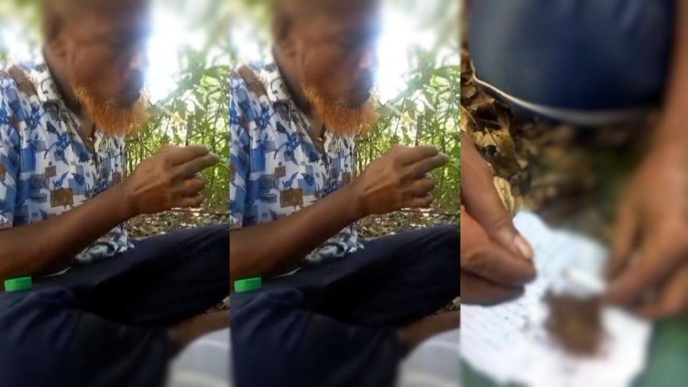 লক্ষ্মীপুরে বিএনপি নেতার গাঁজা-ইয়াবা সেবনের ভিডিও ভাইরাল